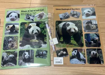 우에노 동물원 팬더 클리어 파일 2개 세트 & 레이레이 볼펜