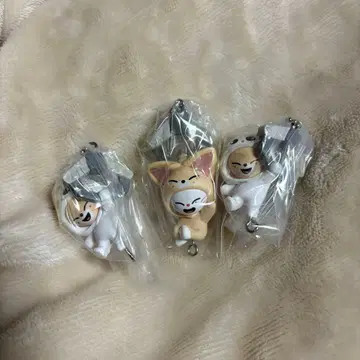 skzoo 츠마츠나 폭시니 지니레트