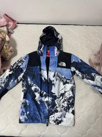 THE NORTH FACE 다운 자켓 후드 부착
