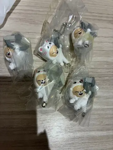 폭시니 츠만데츠나게테마스코토 가챠