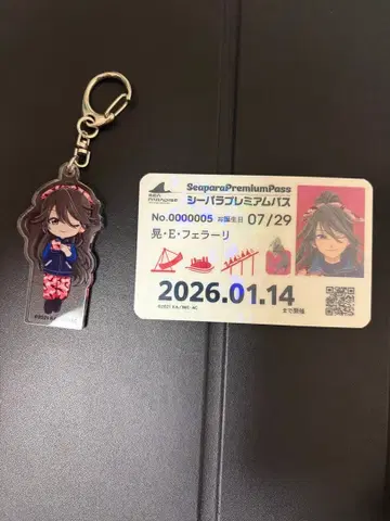 하케이지마 파라다이스 aria 콜라보 아키라 E 페라리