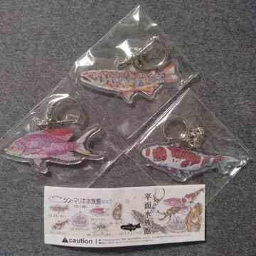 신 마리호 한정판 평면 수족관 namiko 3종