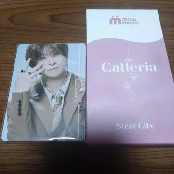 캐터리아 네일 씰 보더콜리