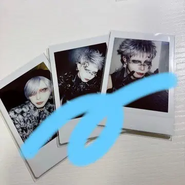 XANVALA 타츠미 폴라로이드 3장 세트