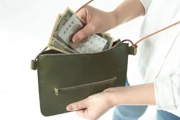 신진공방 즈보라 사코슈 3 브라운