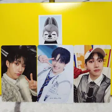 Stray Kids 스키즈 TOY WORLD 트레이딩 카드 방찬