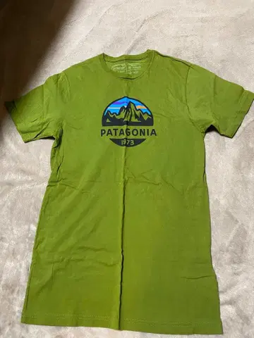 Patagonia 오가닉 코튼 T셔츠 S