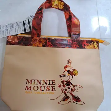 디즈니 리조트 이매지닝 더 매직 토트백 미니 폴