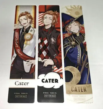 트위스테 케이트 클리어 책갈피 세트 프리미엄 벌스데이 2023