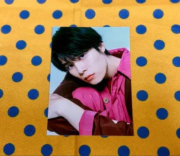 하기와라 리쿠 브로마이드 더 TVgenic. Vol.7 아름다운 그