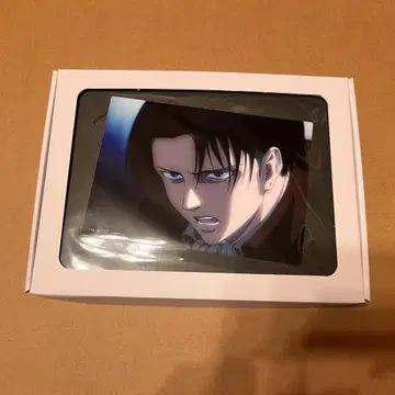 진격의 거인 리바이 메탈 플레이트