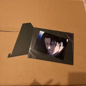 진격의 거인 리바이 메탈 플레이트