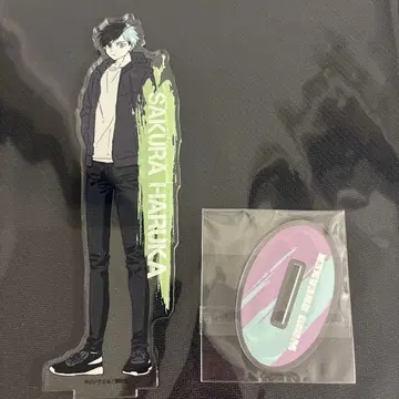 WIND BREAKER 사쿠라 하루카 빅 아크릴 스탠드