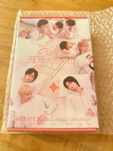 &TEAM 시그 season's greetings 미개봉 새상품