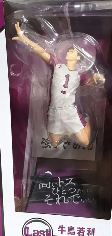 하이큐!! 우시지마 와카토시 피규어