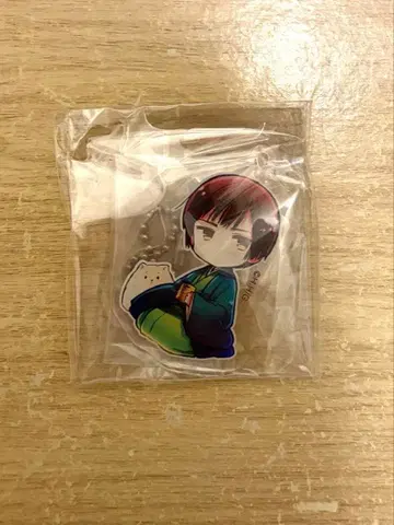 헤타리아 아크릴 키링 일본 포치군