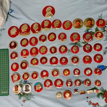 마오쩌둥 핀 배지 61개