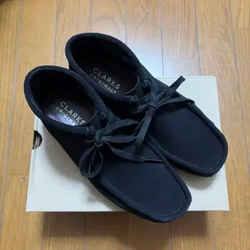 클락스 Clark's 왈라비