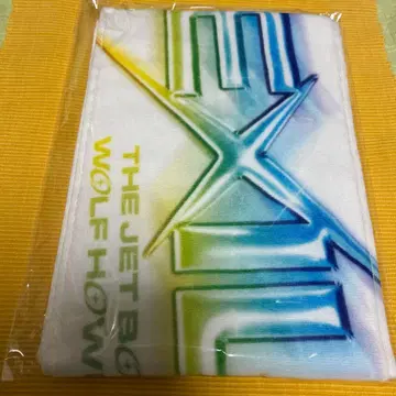 NEO EXILE SPECIAL LIVE 2025 머플러 타월