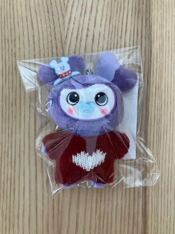 twice 2025 팝업 백참 Lee