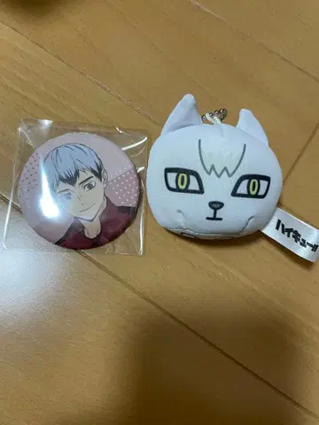 하이큐 키타 신스케 JF2025