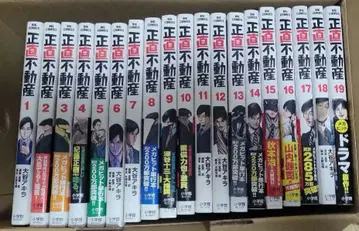 정직 부동산 19권 세트