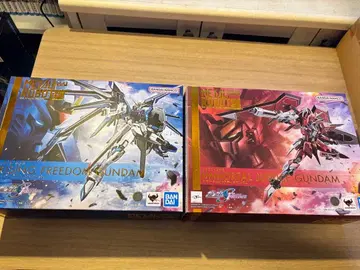 메탈 로봇혼 라이징 프리덤 건담 & 임모탈 저스티스 건담