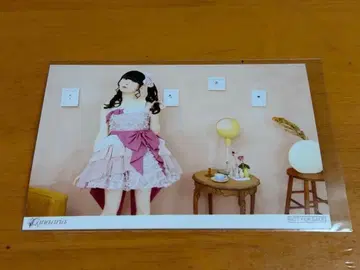 타무라 유카리 LOVE LIVE 2025 요도바시 카메라 혜택