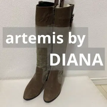 다이애나 가죽 롱 부츠 스웨이드 토프 그레이지