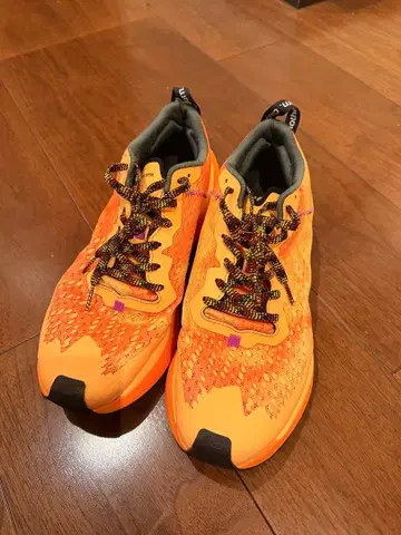 4T2 gone running one more, dutch orange