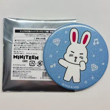 MINITEEN 캔뱃지 에스크 CHOITCHERRY 체리 체리