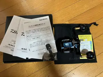 다이와 솔티가 IC 100H-DH