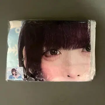 러브식 하야테 담요