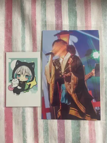 실버나 SILVANA 클레노아 CleeNoah 폴라로이드 엽서