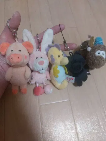 NICI nici 니키 키링 5세트