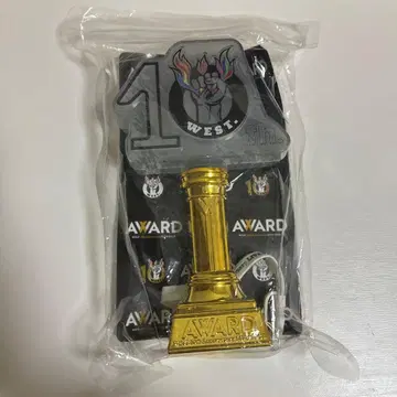 10th WEST AWARD 응원봉