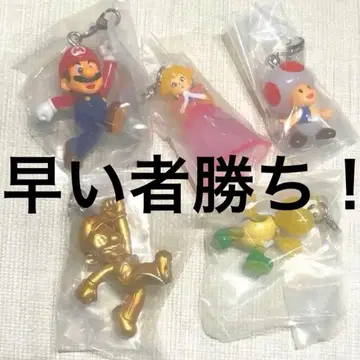 마리오 메지루시 액세서리