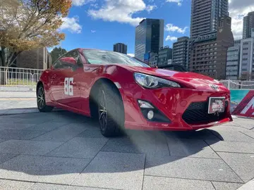 ONEPIECE 냥피스 키드 로