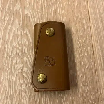 일비종떼 키케이스