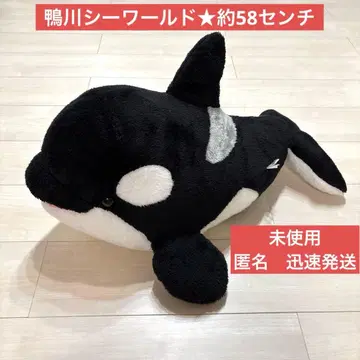 카모가와 씨월드 범고래 복권 약 58cm 2등