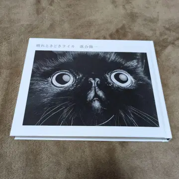 맑음 때때로 라이카