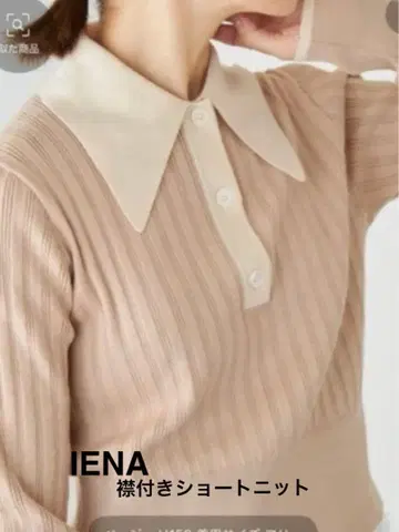 IENA 카라 부착 숏 니트 베이지