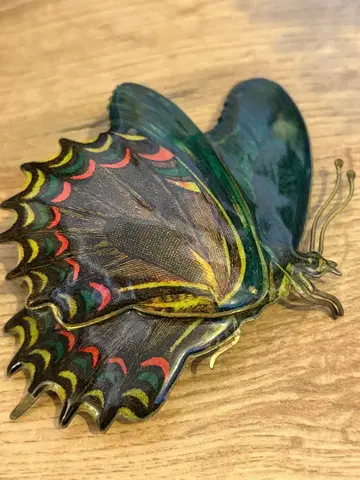 나비 디자인 브로치 아차츄무