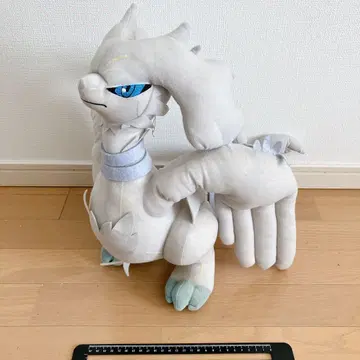 포켓몬 레시라무 조금 큰 봉제 인형 베스트 위시 당시 물건