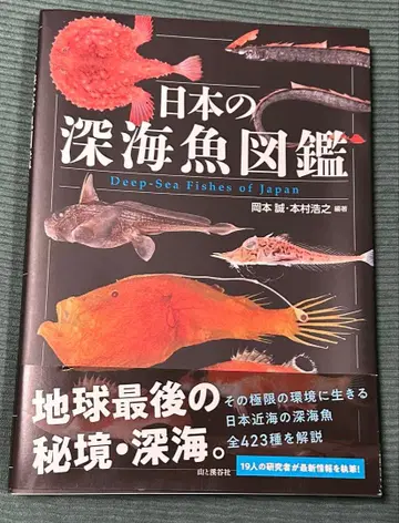일본의 심해어 도감 야마토케이코쿠샤 오카모토 마코토 혼무라 히로유키