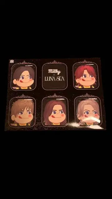 루나페스 LUNASEA 밀키 세트