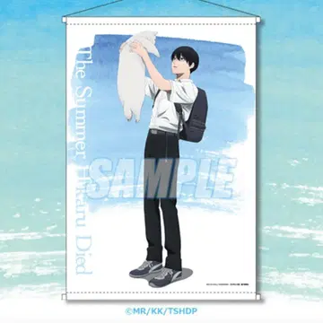 빛이 죽은 여름 제비뽑기당