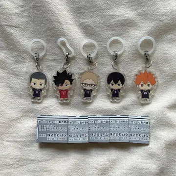 하이큐!! 아크릴 키링 5개 세트