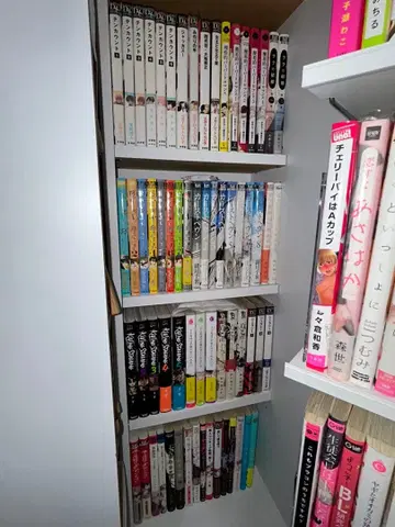 BL 도서 묶음 판매 108권 세트