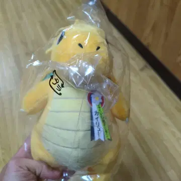 포켓몬 봉제 인형 카이류 후쿠이현 한정 상품